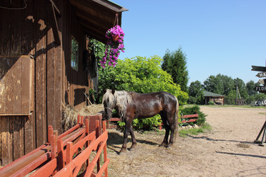 Similar image 2970981