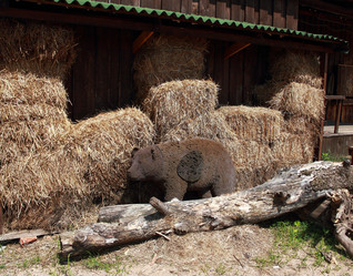 Similar image 2970986