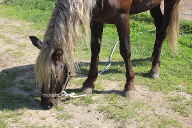 Similar image 2970989