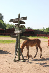 Similar image 2970990