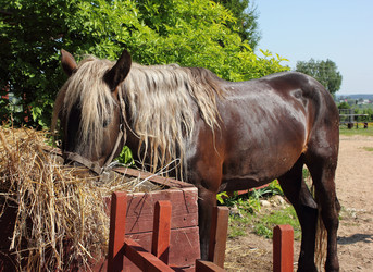 Similar image 2970992