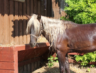 Similar image 2970993