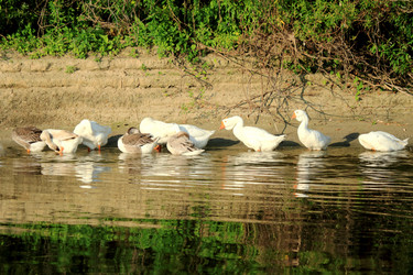 Similar image 2971096