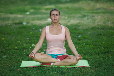 Similar image 2971108