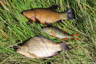 Similar image 2971143