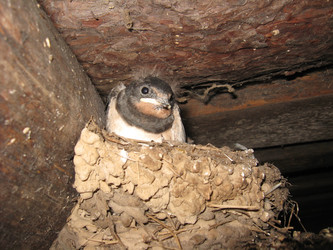 Similar image 2971151