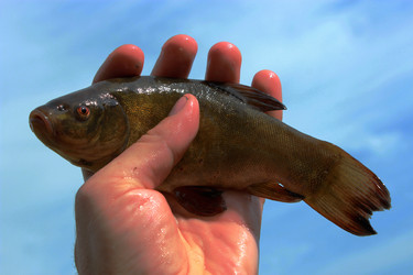 Similar image 2971159