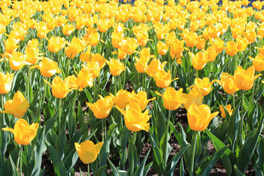 Similar image 2971162