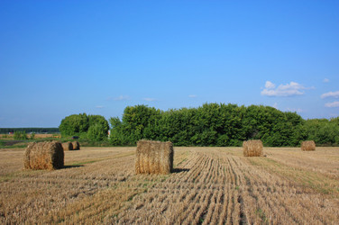 Similar image 2971205