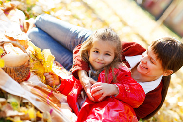 Similar image 2971254