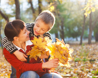 Similar image 2971258