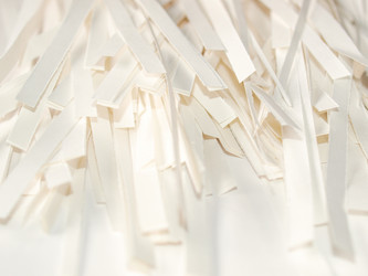 Similar image 2971338