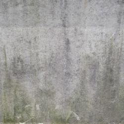 Similar image 2971449