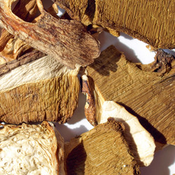 Similar image 2971478