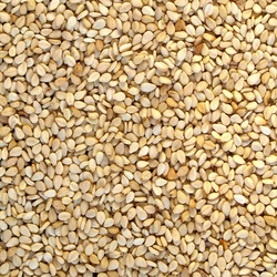 Similar image 2971487