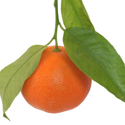 Similar image 2971492