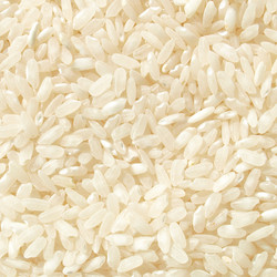 Similar image 2971516