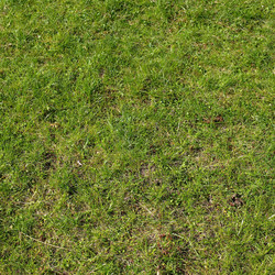 Similar image 2971526