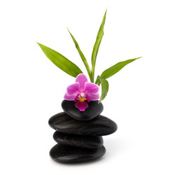 Similar image 2971570