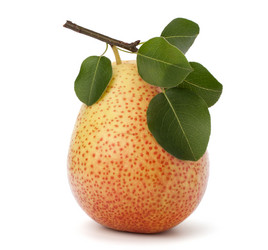 Similar image 2971596