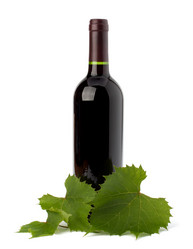 Similar image 2971619