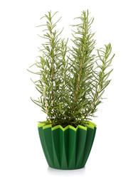 Similar image 2971671