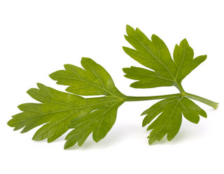 Similar image 2971733