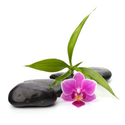 Similar image 2971740