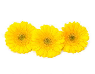 Similar image 2971746