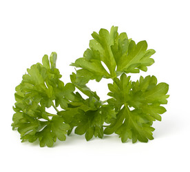 Similar image 2971763