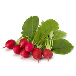 Similar image 2971833