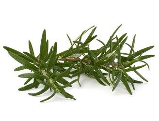 Similar image 2972174