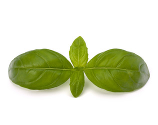 Similar image 2972175