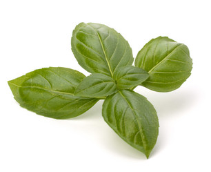 Similar image 2972311