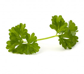 Similar image 2972314