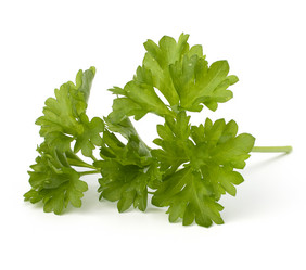 Similar image 2972315