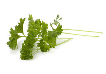 Similar image 2972319