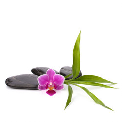 Similar image 2972339