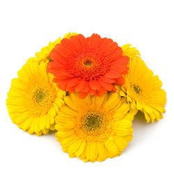 Similar image 2972374