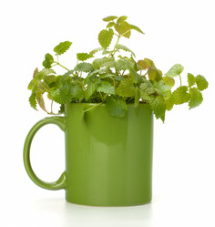 Similar image 2972375