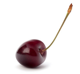 Similar image 2972419