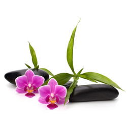 Similar image 2972421