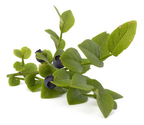 Similar image 2972460