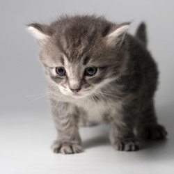 Similar image 2972492