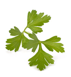 Similar image 2972499