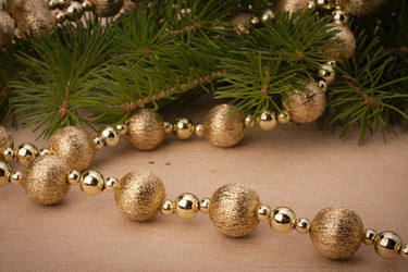 Similar image 2972525