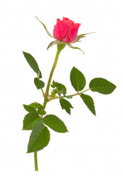 Similar image 2972526