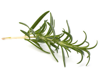 Similar image 2972550