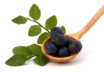 Similar image 2972565