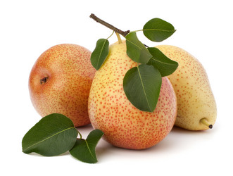 Similar image 2972582